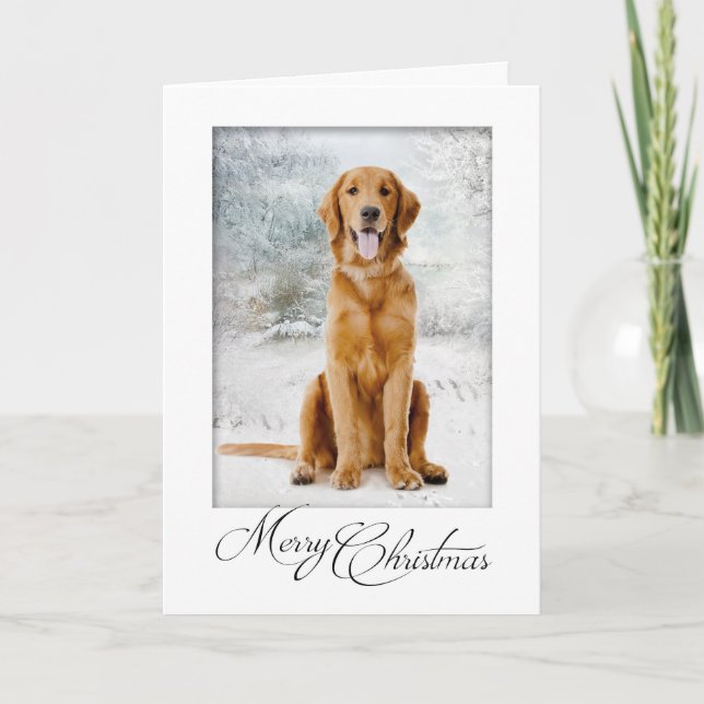 Golden Retriever Christmas Card (Front)