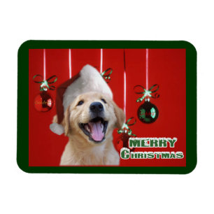 Golden Retriever Christmas Cards Gifts Magnet