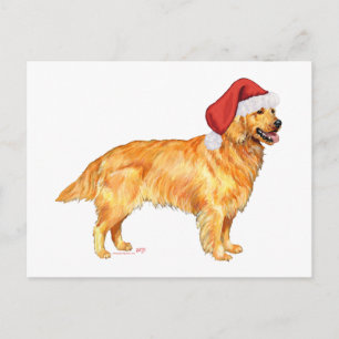 Golden Retriever Christmas Holiday Postcard