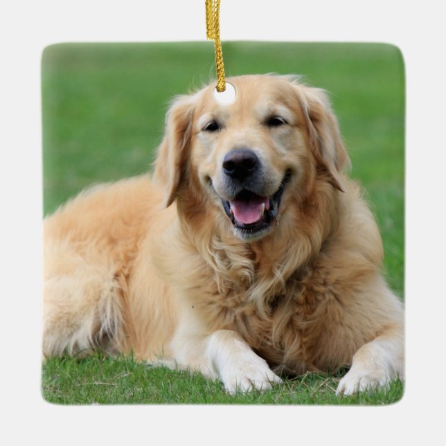 Golden Retriever Christmas Ornament (Front)