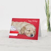Golden Retriever Christmas Puppy