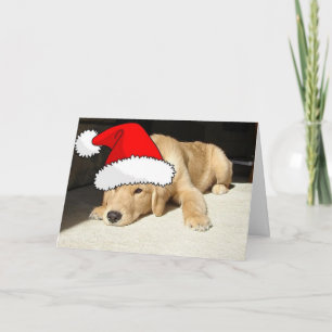Golden Retriever Christmas Puppy Holiday Card
