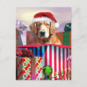 Golden Retriever Christmas Surprise Holiday Postcard