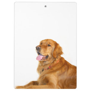 Golden retriever clipboard
