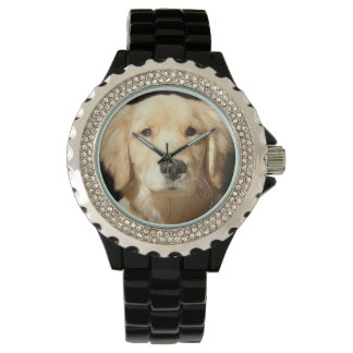 Golden Retriever Closeup Watch