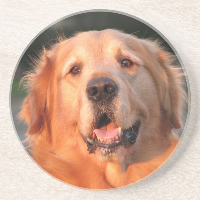 Golden Retriever Coaster (Front)
