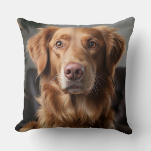 Golden Retriever Cushion