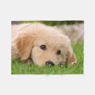 Golden Retriever Cute Puppy Dreaming, comfortable Fleece Blanket