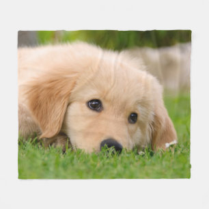 Golden Retriever Cute Puppy Dreaming, cosy Fleece Blanket