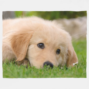 Golden Retriever Cute Puppy Dreaming Dog Portrait Fleece Blanket