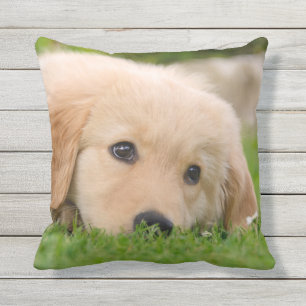 Golden Retriever Cute Puppy Dreaming for Outside Cushion