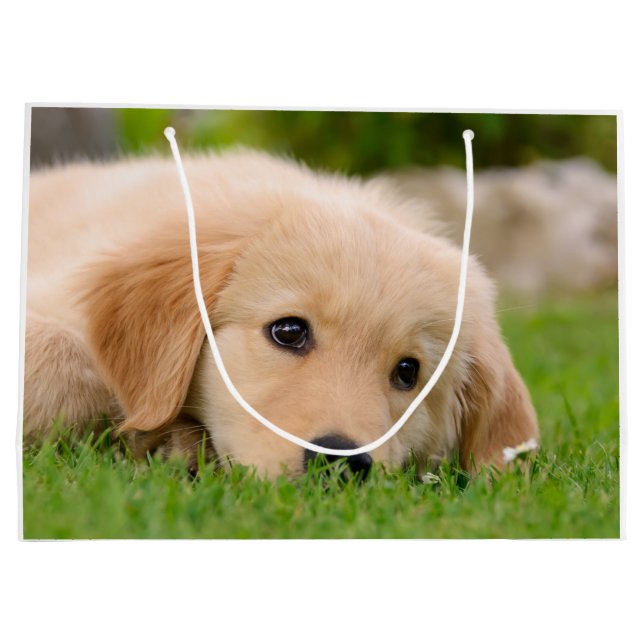 Golden Retriever Cute Puppy Dreaming Portrait - Large Gift Bag (Back)