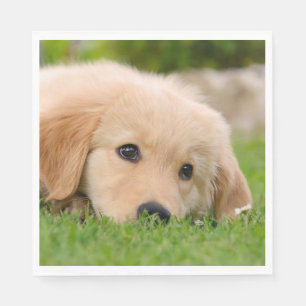 Golden Retriever Cute Puppy Dreams Dog Head Photo Napkin