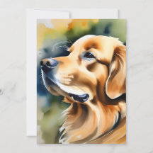 Golden Retriever Dog A