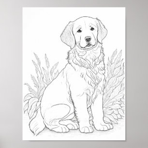 Golden Retriever Dog Adult Colouring Poster