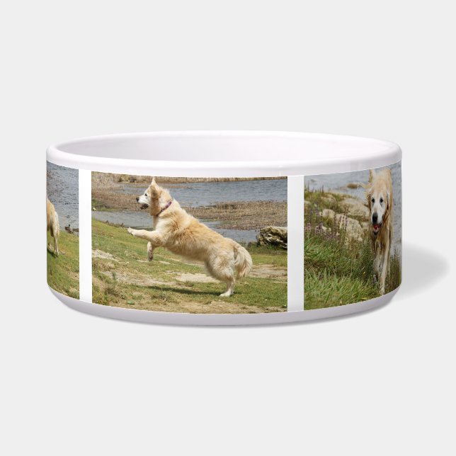 Golden retriever dog bowl. (Right)