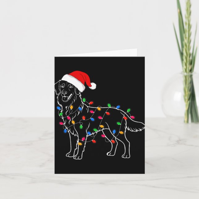 Golden Retriever Dog Christmas Lights Santa Xmas D Card (Front)