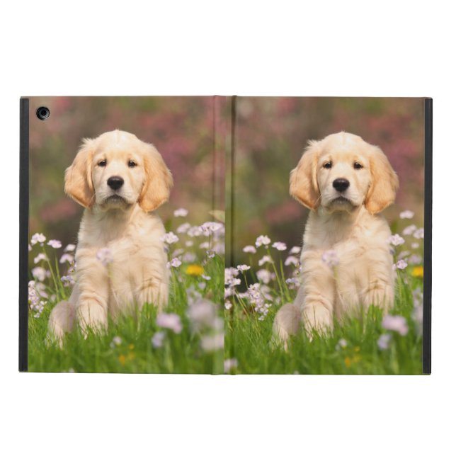Golden Retriever Dog Cute Goldie Puppy, hard iPad Air Case (Outside)