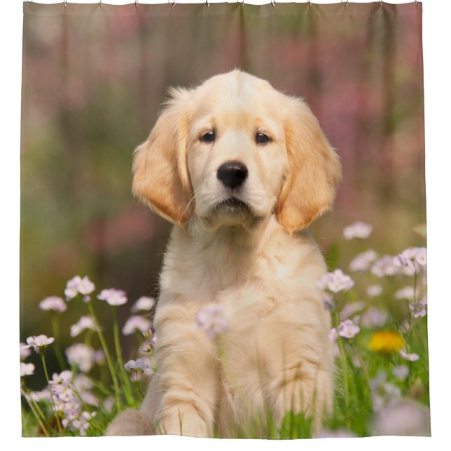 Golden Retriever Dog Cute Goldie Puppy, Tub Shower Curtain (Front)