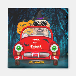 Golden Retriever Dog Driving Car Scary Halloween Magnet