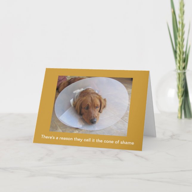 Golden Retriever Dog Get Well Greeting Card (Front)