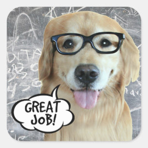 Golden Retriever Dog Great Job Teacher Reward Square Sticker