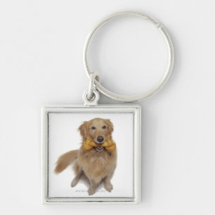Golden Retriever Dog holding bone in mouth Key Ring