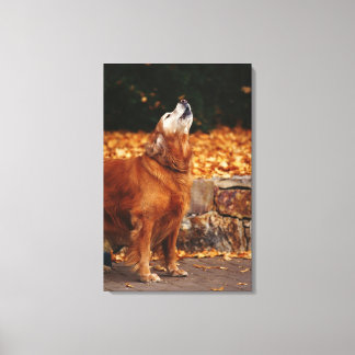 Golden retriever dog howling on path canvas print