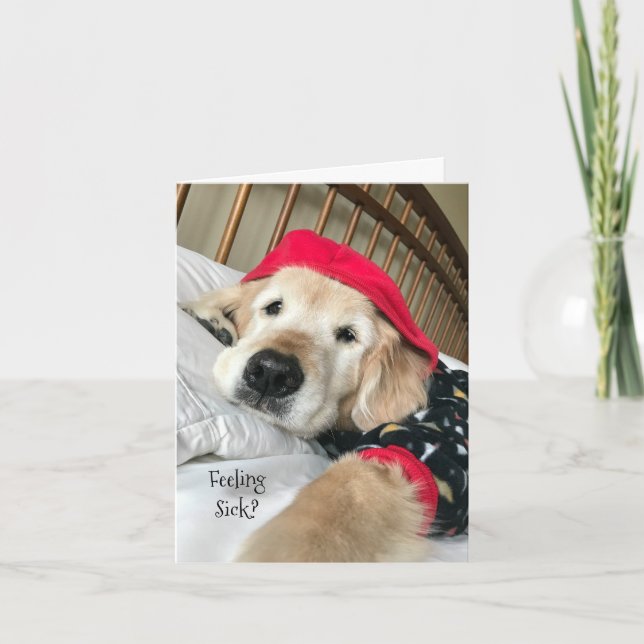 Golden Retriever Dog in Pyjamas Get Well Card (Front)