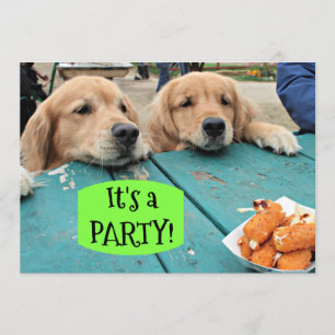 Golden Retriever Dog It's A Party Invitation