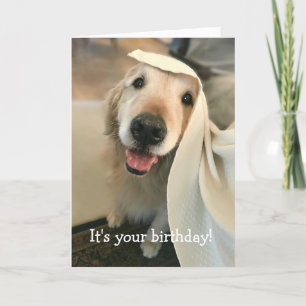Golden Retriever Dog It's Your Birthday Card
