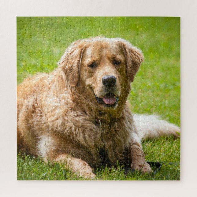 Golden Retriever Dog Jigsaw Puzzle (Vertical)