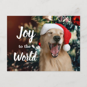 Golden Retriever Dog Joy to the World Christmas Holiday Postcard