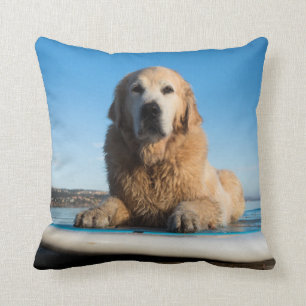 Golden Retriever Dog  Laying On A Paddle Board Cushion