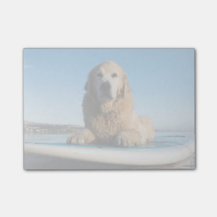 Golden Retriever Dog  Laying On A Paddle Board Post-it Notes