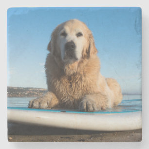 Golden Retriever Dog  Laying On A Paddle Board Stone Coaster
