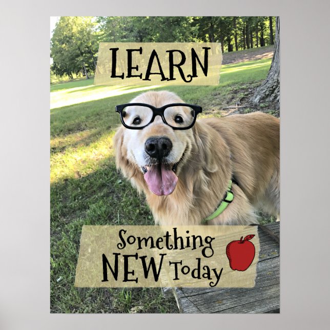 Golden Retriever Dog Learn Something New Classroom Poster (Front)