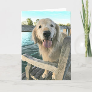 Golden Retriever Dog on a Dock Thinking of You Card