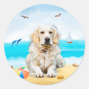 Golden Retriever Dog on Beach Classic Round Sticker