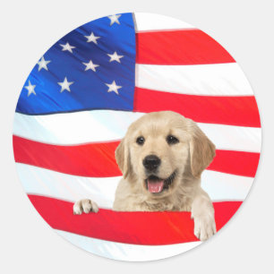 Golden Retriever dog on flag Classic Round Sticker