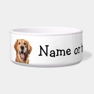 Golden Retriever Dog Pet Animal