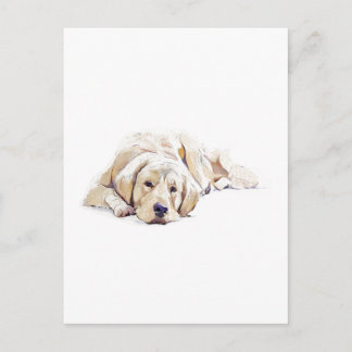 Golden Retriever Dog Post Card Dog Lover Gift