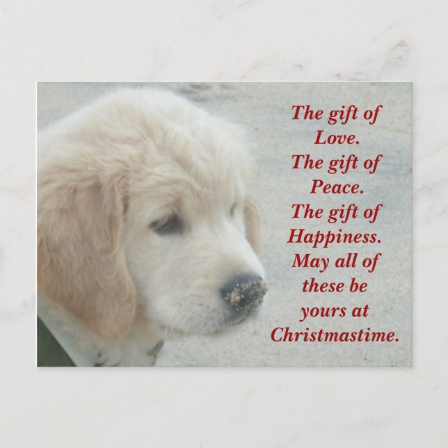 Golden Retriever dog puppy Christmas postcard (Front)