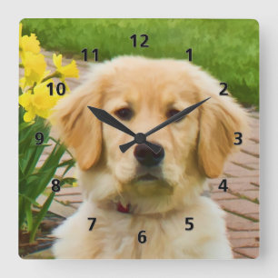 Golden Retriever Dog Square Wall Clock
