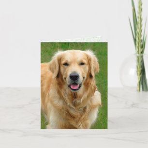 Golden Retriever—Dog Sympathy Card