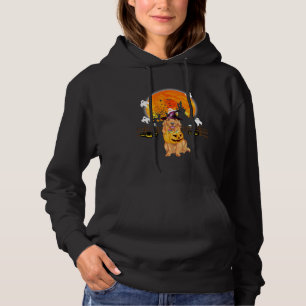 Golden retriever Dog Witch Halloween pumpkin Hoodie