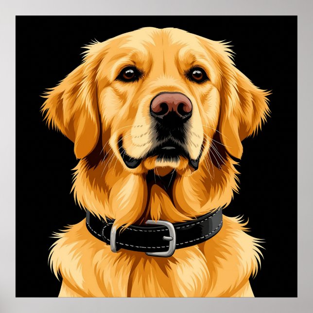 Golden Retriever Dog with Black Collar Poster (Front)