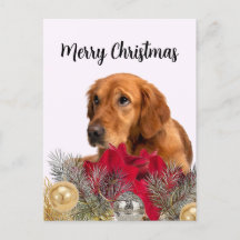 Golden Retriever Dog with Christmas Ornaments