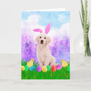Golden Retriever Dog with Easter Eggs Bunny Chicks Holiday Card
