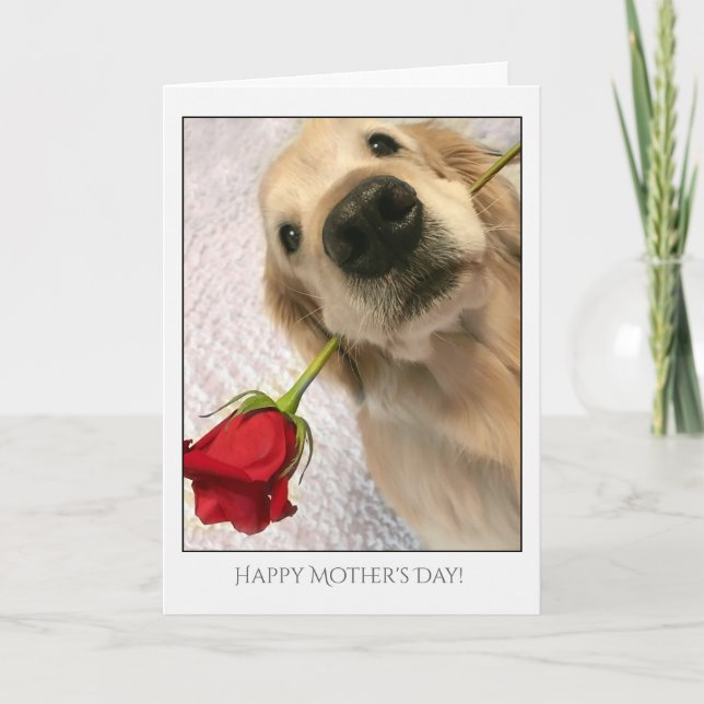 Golden Retriever Dog With Red Rose Mother's Day Card (Front)